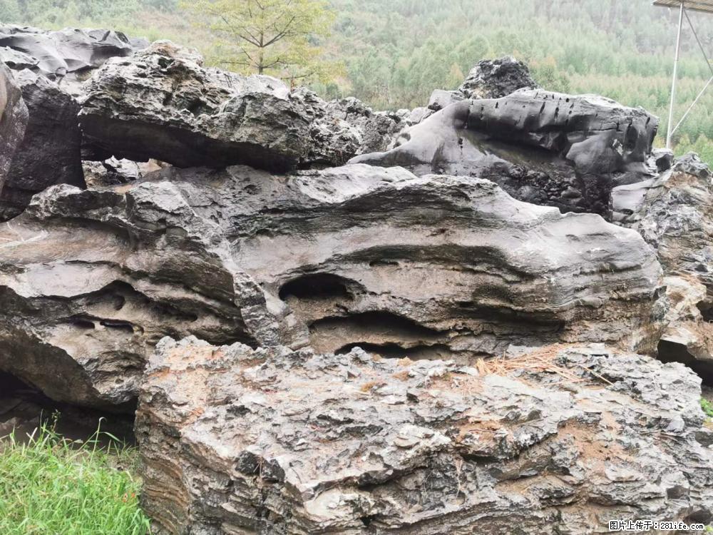 风景石、假山石大量有货，有需要的欢迎联系 - 新手上路 - 九江生活社区 - 九江28生活网 jj.28life.net