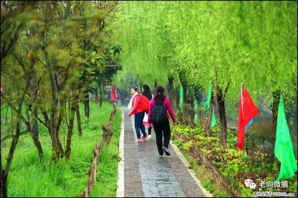 【春天，广西桂林灌阳县向您发出邀请！】江口老街又逢春 - 游山玩水 - 九江生活社区 - 九江28生活网 jj.28life.net