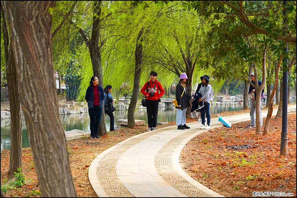 【春天，广西桂林灌阳县向您发出邀请！】江口老街又逢春 - 游山玩水 - 九江生活社区 - 九江28生活网 jj.28life.net