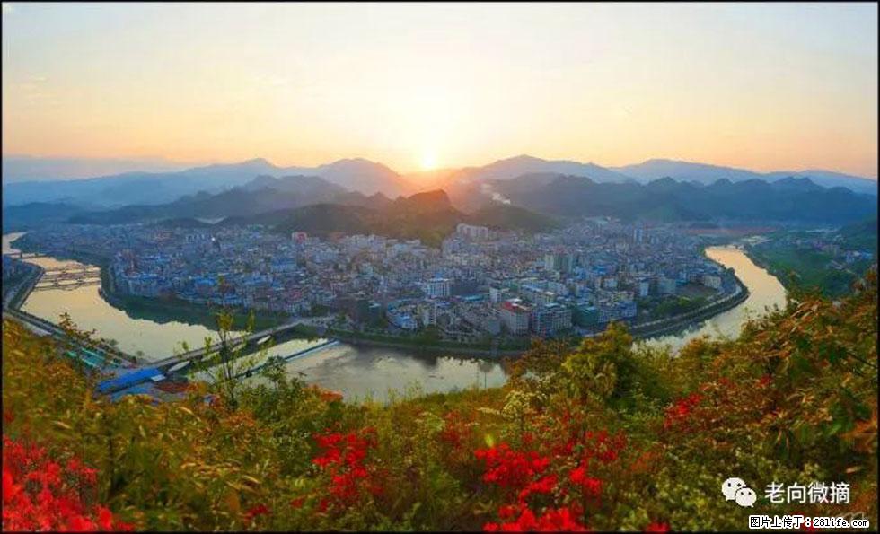【春天，广西桂林灌阳县向您发出邀请！】登麒麟山，相约映山红 - 游山玩水 - 九江生活社区 - 九江28生活网 jj.28life.net
