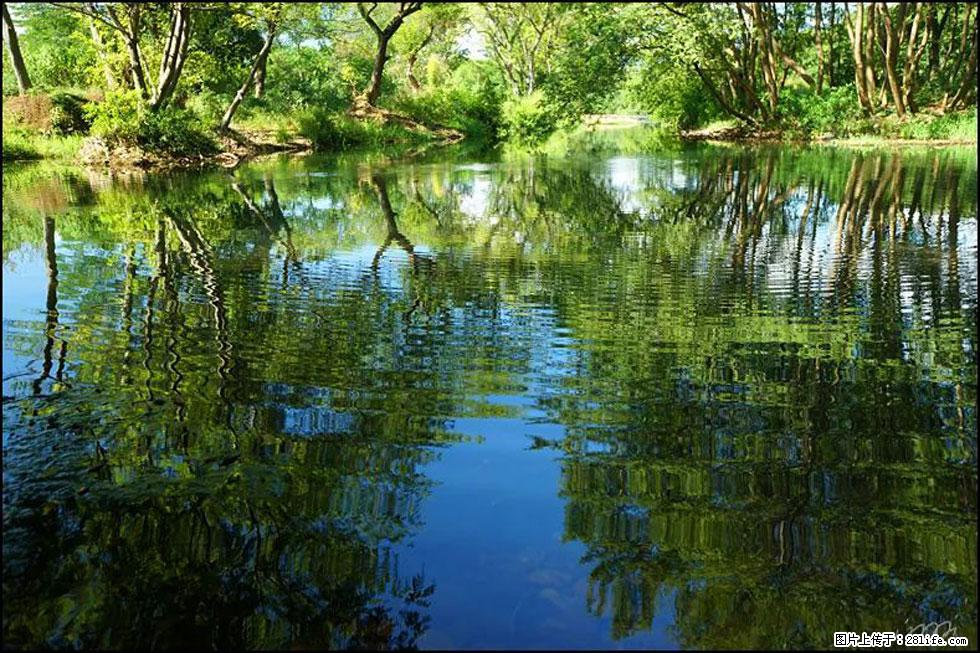 【春天，广西桂林灌阳县向您发出邀请！】熊家寨湿地公园 - 游山玩水 - 九江生活社区 - 九江28生活网 jj.28life.net