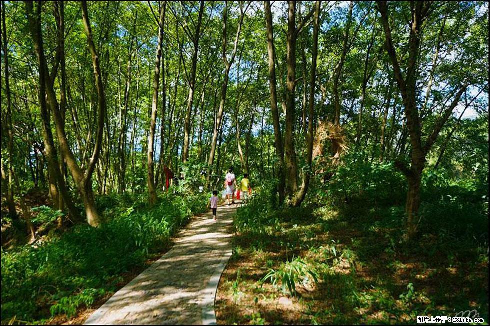 【春天，广西桂林灌阳县向您发出邀请！】熊家寨湿地公园 - 游山玩水 - 九江生活社区 - 九江28生活网 jj.28life.net