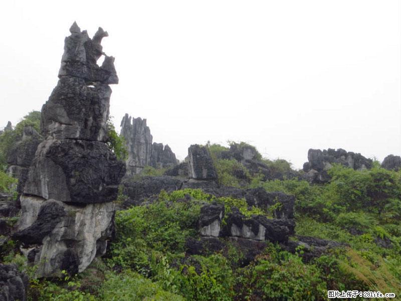 桂林旅游名城景点:灌阳文市石林 - 游山玩水 - 九江生活社区 - 九江28生活网 jj.28life.net