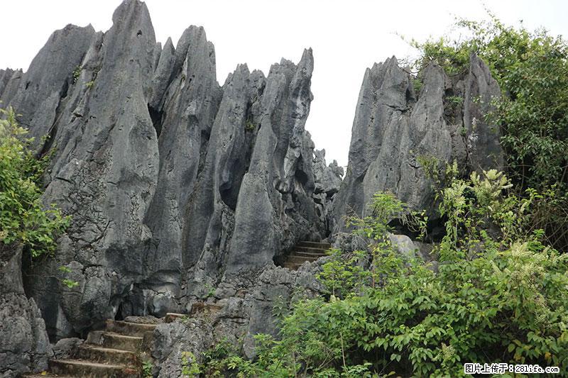 桂林旅游名城景点:灌阳文市石林 - 游山玩水 - 九江生活社区 - 九江28生活网 jj.28life.net