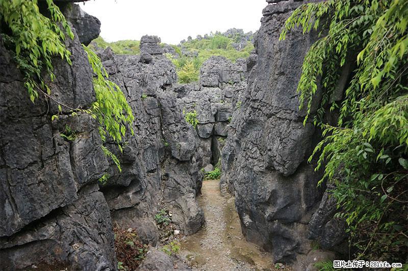 桂林旅游名城景点:灌阳文市石林 - 游山玩水 - 九江生活社区 - 九江28生活网 jj.28life.net