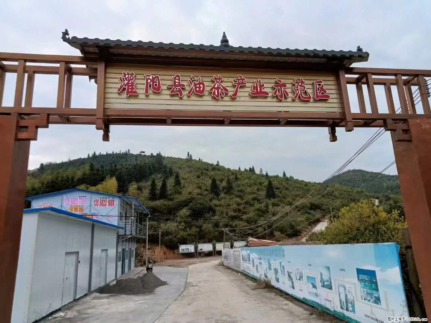 【灌阳县油茶产业示范区】一个有着充实的精神生活的人，对待身外之物自会有一种淡泊的态度 - 土特产 - 饮食特产 - 九江分类信息 - 九江28生活网 jj.28life.net