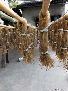 【灌阳正宗红薯粉】美女家里自己做的，干净卫生，假一赔十，价格合理，抢购电话：13737312895 - 九江28生活网 jj.28life.net
