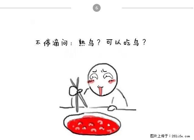 千万不要和这9种哈卵一起吃火锅！ - 美食天地 - 九江生活社区 - 九江28生活网 jj.28life.net