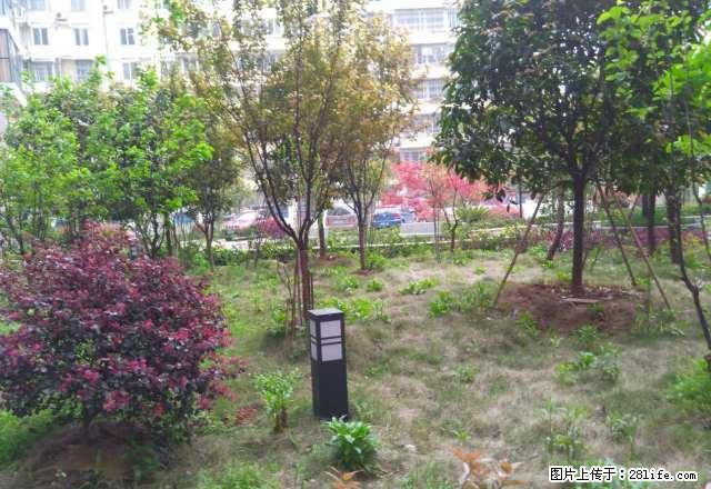 三里街师专附近小区有多套单间带厨卫出租 - 房屋出租 - 房屋租售 - 九江分类信息 - 九江28生活网 jj.28life.net