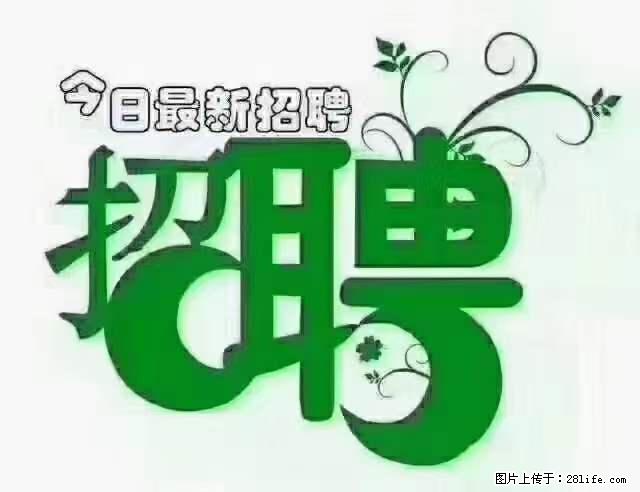 【招聘】产康师 - 职场交流 - 九江生活社区 - 九江28生活网 jj.28life.net