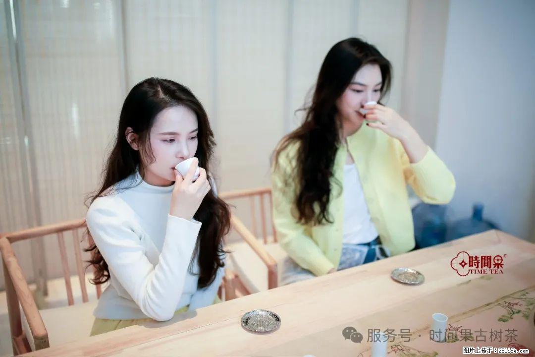 时间果百年古树龙珠普洱生茶 - 购物交流 - 九江生活社区 - 九江28生活网 jj.28life.net