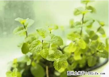 晕车、脚气、牙齿变黄、皮肤粗糙？学会这些三分钟搞定！ - 九江生活资讯 - 九江28生活网 jj.28life.net