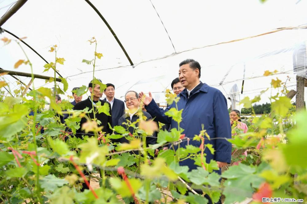 习近平赴广西考察调研 - 九江生活资讯 - 九江28生活网 jj.28life.net