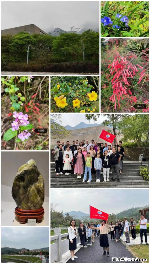 “粤灌文化 美好生活”油茶文化主题活动在广东深圳成功举办 - 九江生活资讯 - 九江28生活网 jj.28life.net