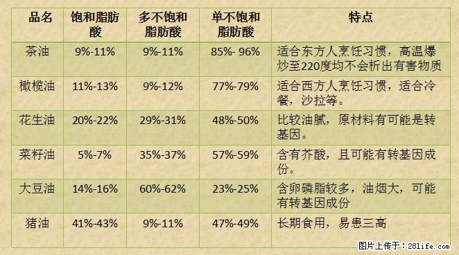 揭秘茶油的5大核心营养成分！被称为人体健康的“守护盾”！ - 九江生活资讯 - 九江28生活网 jj.28life.net