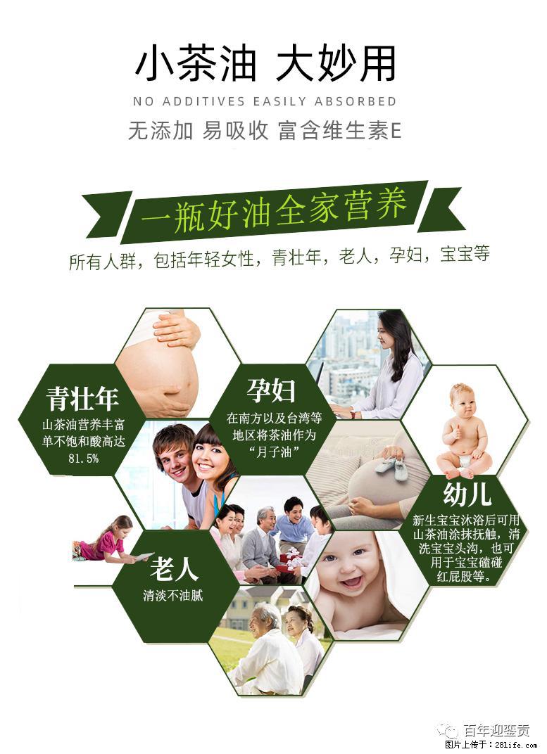 世界没有真相，只有认知，最好的食用油是中国的山茶油！ - 九江生活资讯 - 九江28生活网 jj.28life.net