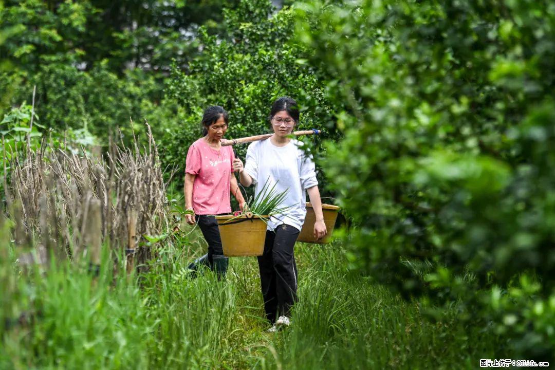 全网追的“扁担女孩”，找了一份暑假工，时薪12元 - 九江生活资讯 - 九江28生活网 jj.28life.net