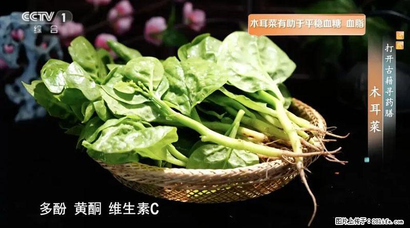 比牛奶补钙还厉害！凉血解毒、稳血糖...这菜冬天必吃，很多人却当草 - 九江生活资讯 - 九江28生活网 jj.28life.net