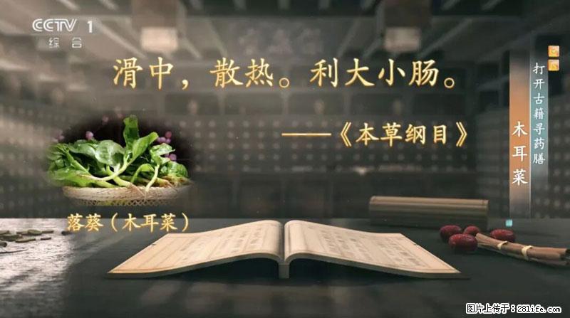 比牛奶补钙还厉害！凉血解毒、稳血糖...这菜冬天必吃，很多人却当草 - 九江生活资讯 - 九江28生活网 jj.28life.net