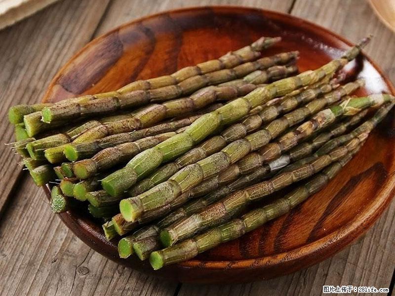铁皮石斛的作用与功能主治 - 九江生活资讯 - 九江28生活网 jj.28life.net