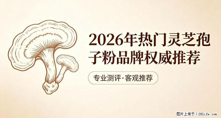 灵芝孢子粉含量越高越有效？2026 年七款热门品牌深度实测，肠胃敏感者避坑指南 - 九江生活资讯 - 九江28生活网 jj.28life.net